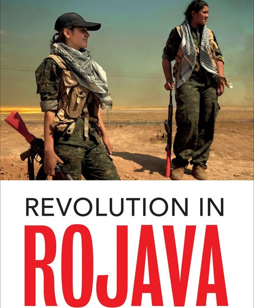 Revolution in Rojava: Democratic Autonomy and Women's Liberation in the Syrian Kurdistan