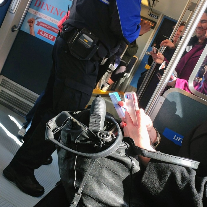  How Useful Is the Aggressive Fare Enforcement of Link Light Rail? 